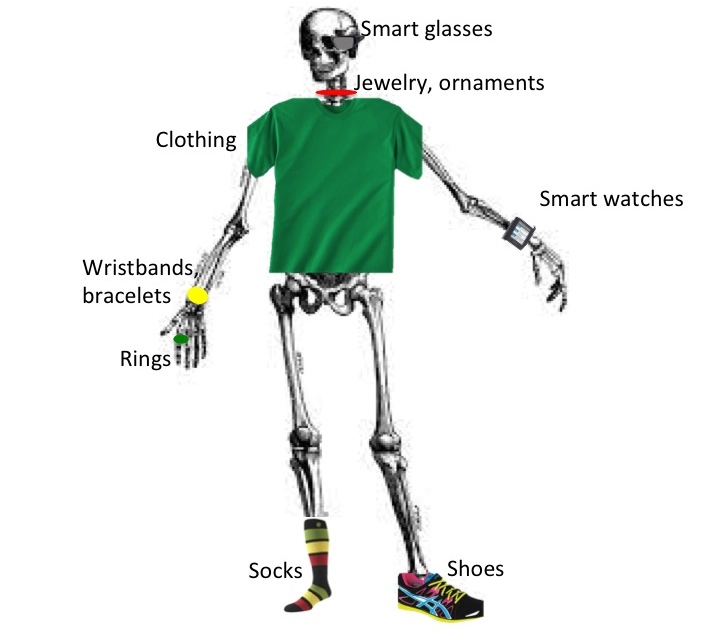 Wearable skeleton 1