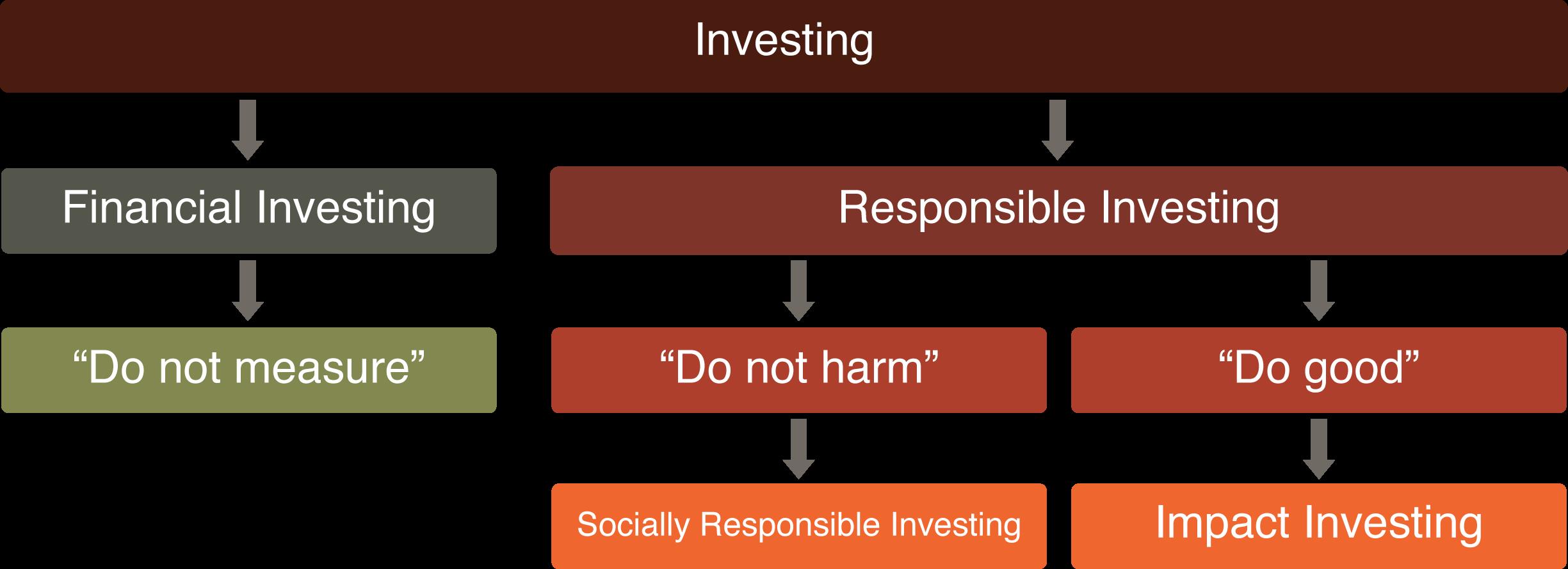 Symbiotics responsible investing graphic